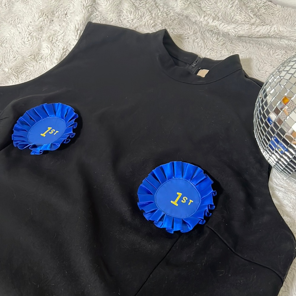 PLEASE READ Fashion Brand Company First Place Black Dress 3X 5X Mock Neck